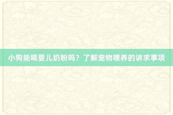 小狗能喝婴儿奶粉吗？了解宠物喂养的讲求事项
